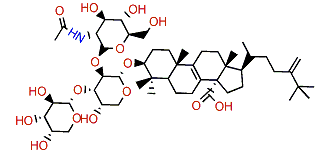 Eryloside J